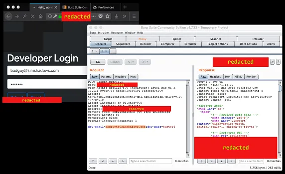 Burp Suite Repeater example screenshot.